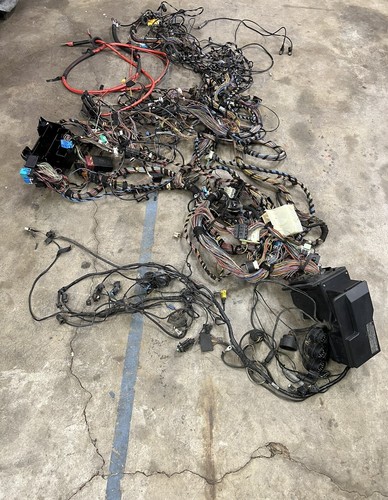 Bmw body wiring loom - 🔴,
