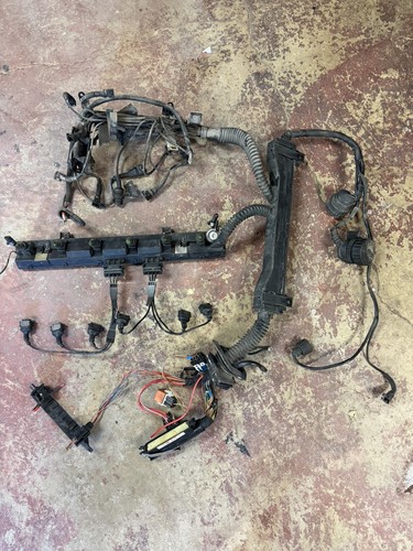 Bmw e34 e36 525i 325i - 325i, m50